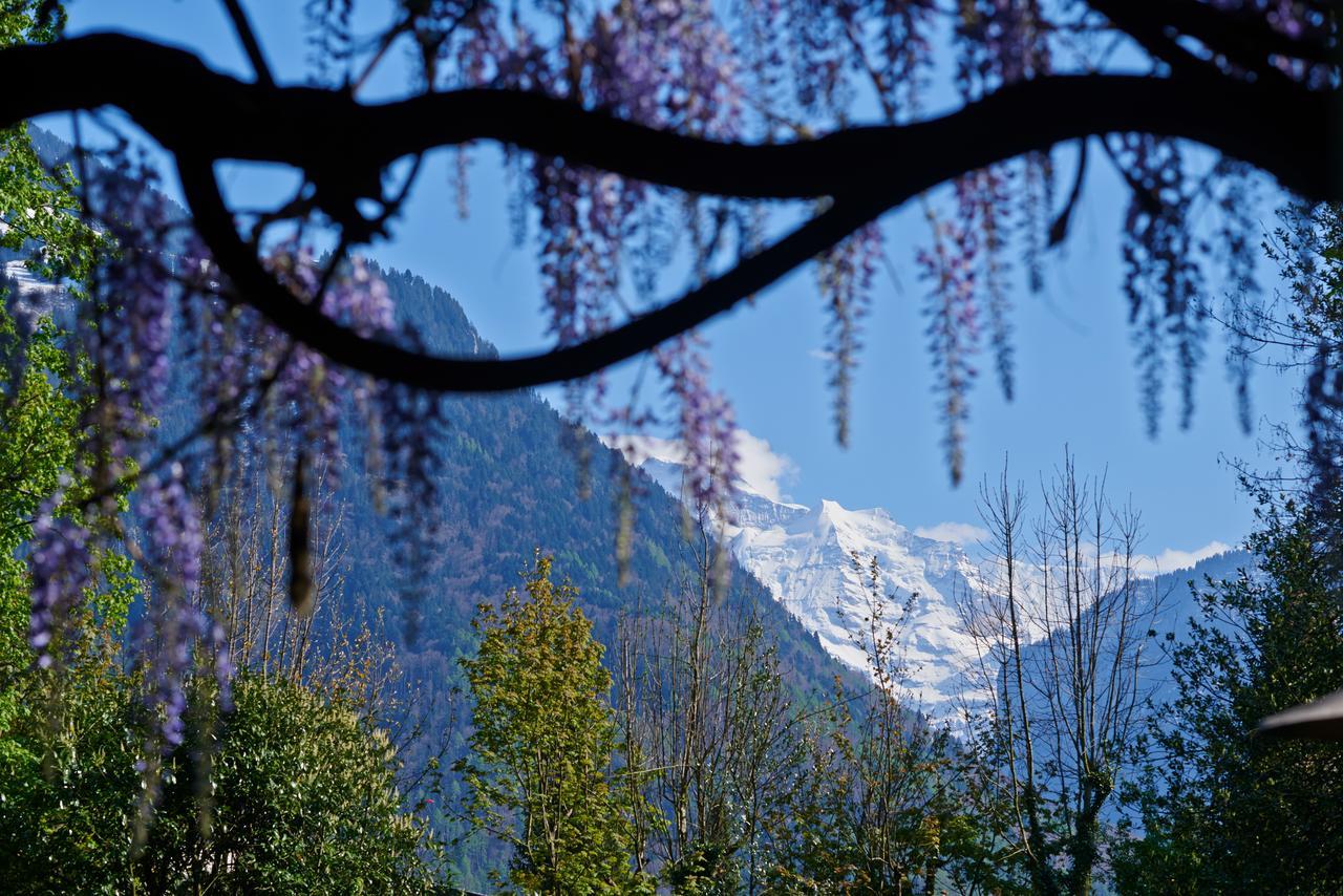 Boutique B&B Maison Bergdorf Interlaken Bagian luar foto